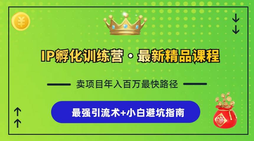 （13055期）IP孵化训练营，知识付费全流程+最强引流术+小白避坑指南_天恒副业网