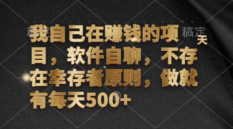 （12956期）我自己在赚钱的项目，软件自聊，不存在幸存者原则，做就有每天500+_天恒副业网