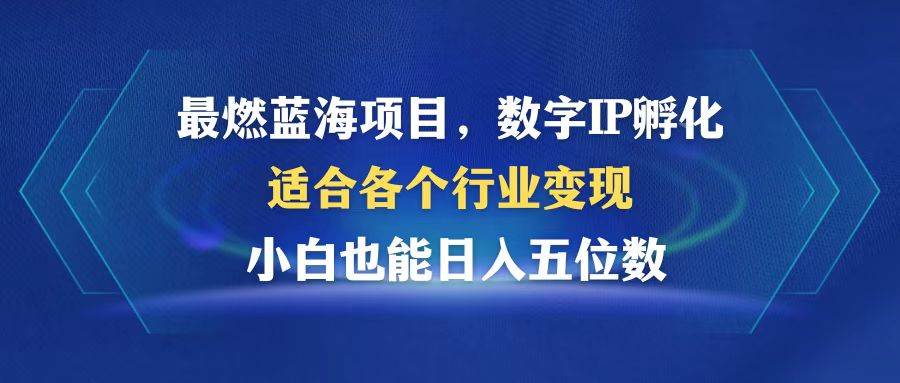 （12941期）最燃蓝海项目数字IP孵化适合各个行业变现小白也能日入5位数_天恒副业网