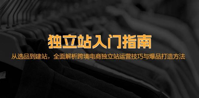 （12882期）独立站入门指南：从选品到建站，全面解析跨境电商独立站运营技巧与爆品…_天恒副业网