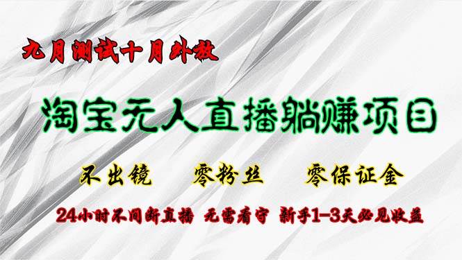 （12862期）淘宝无人直播最新玩法，九月测试十月外放，不出镜零粉丝零保证金，24小…_天恒副业网