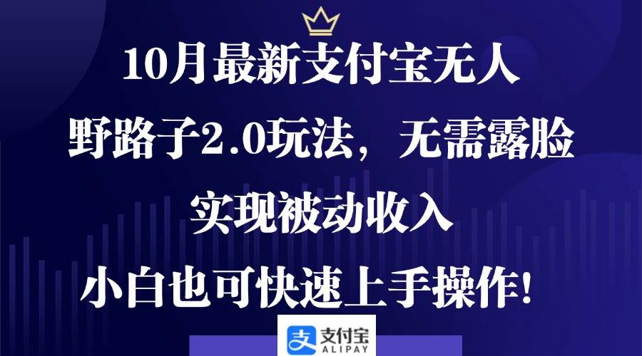 （12824期）10月最新支付宝无人野路子2.0玩法，无需露脸，实现被动收入，小白也可…_天恒副业网