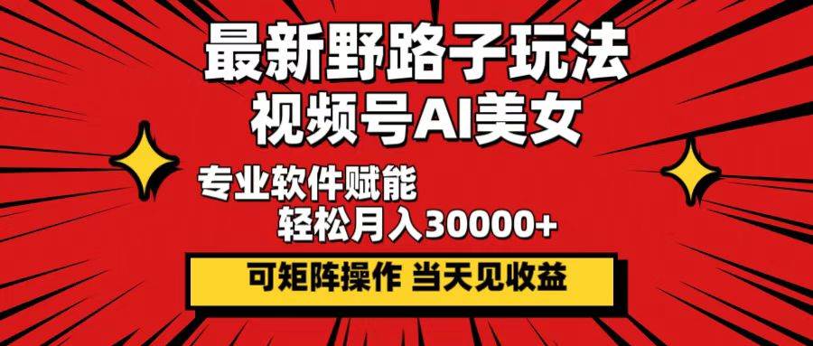 （12798期）最新野路子玩法，视频号AI美女，当天见收益，轻松月入30000＋_天恒副业网