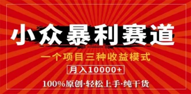 （12756期）视频号最新爆火赛道，三种可收益模式，0粉新号条条原创条条热门日入1000+_天恒副业网