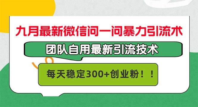 （12735期）九月最新微信问一问暴力引流术，团队自用引流术，每天稳定300+创…_天恒副业网