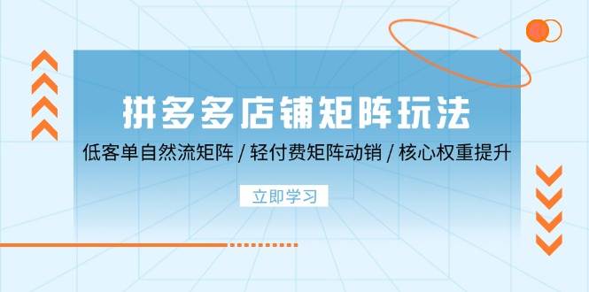 （12720期）拼多多店铺矩阵玩法：低客单自然流矩阵/轻付费矩阵动销/核心权重提升_天恒副业网