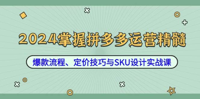 （12703期）2024掌握拼多多运营精髓：爆款流程、定价技巧与SKU设计实战课_天恒副业网