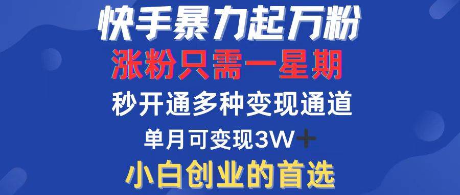 （12651期）快手暴力起万粉，涨粉只需一星期，多种变现模式，直接秒开万合，小白创…_天恒副业网