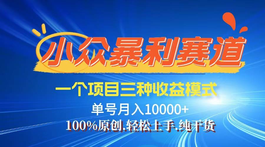 （12579期）【老人言】-视频号爆火赛道，三种变现方式，0粉新号调调爆款_天恒副业网