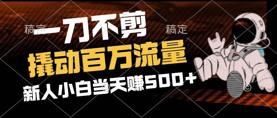 （12576期）2分钟一个作品，一刀不剪，撬动百万流量，新人小白刚做就赚500+_天恒副业网