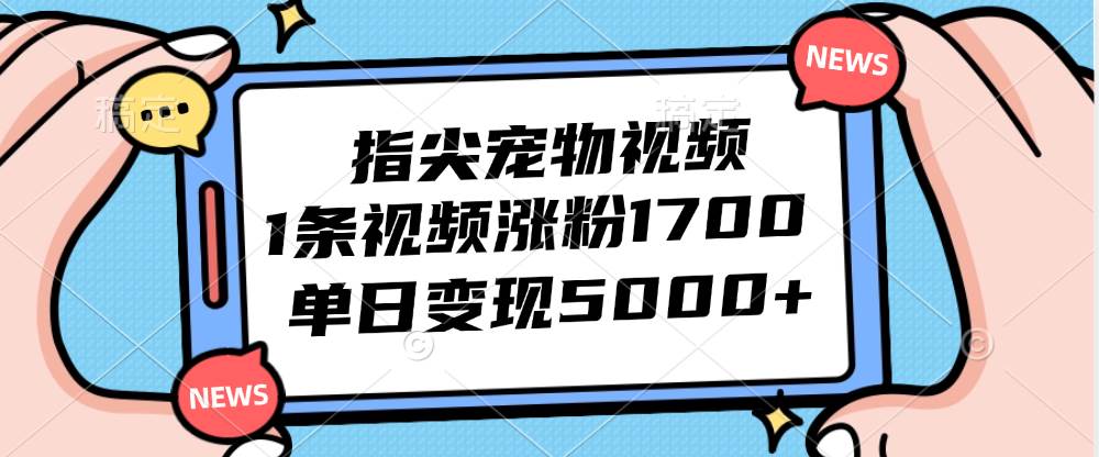 （12549期）指尖宠物视频，1条视频涨粉1700，单日变现5000+_天恒副业网