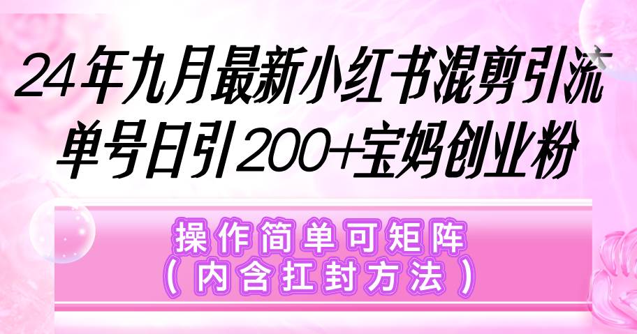 （12530期）小红书混剪引流，单号日引200+宝妈创业粉，操作简单可矩阵（内含扛封…_天恒副业网