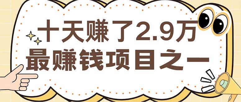 （12491期）闲鱼小红书赚钱项目之一，轻松月入6万+项目_天恒副业网