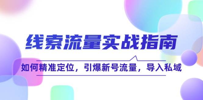 （12382期）线索流量-实战指南：如何精准定位，引爆新号流量，导入私域_天恒副业网