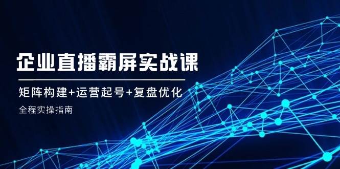 （12338期）企业直播霸屏实战课：矩阵构建+运营起号+复盘优化，全程实操指南_天恒副业网