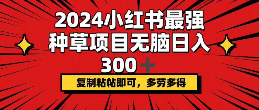 （12336期）2024小红书最强种草项目，无脑日入300+，复制粘帖即可，多劳多得_天恒副业网