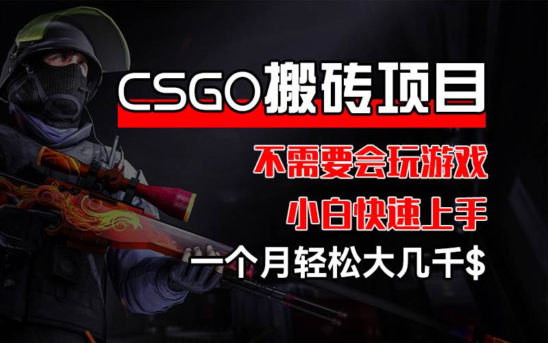 （12332期）CSGO装备搬砖项目，操作简单，不需要会玩游戏，小白也能快速上手，一…_天恒副业网