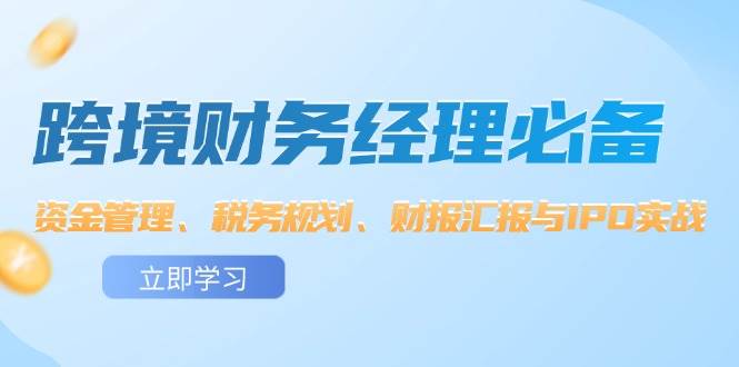 （12323期）跨境财务经理必备：资金管理、税务规划、财报汇报与IPO实战_天恒副业网