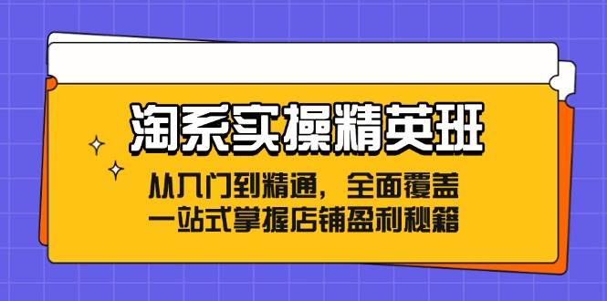 (12276期)淘系实操精英班:从入门到精通,全面覆盖,一站式掌握店铺盈利秘籍_天恒副业网
