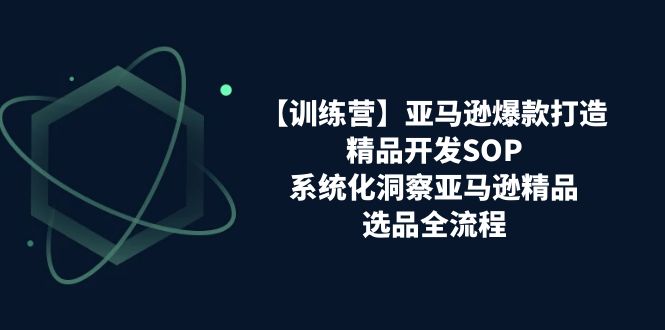 亚马逊爆款打造之精品开发SOP【训练营】，系统化洞察亚马逊精品选品全流程_天恒副业网