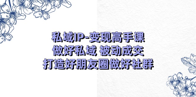 私域IP变现高手课：做好私域被动成交，打造好朋友圈做好社群（18节）_天恒副业网