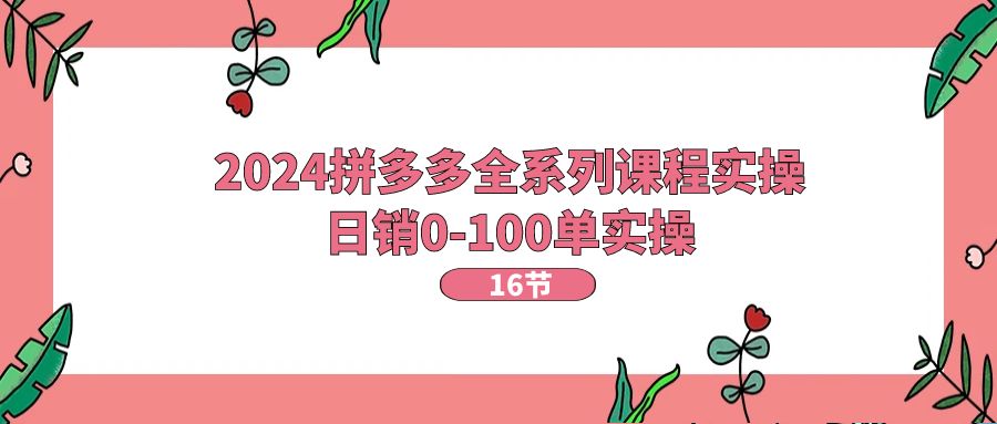 2024拼多多全系列课程实操，日销0-100单实操【16节课】_天恒副业网