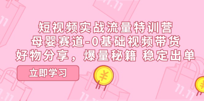 短视频实战流量特训营，母婴赛道-0基础带货，好物分享，爆量秘籍稳定出单_天恒副业网