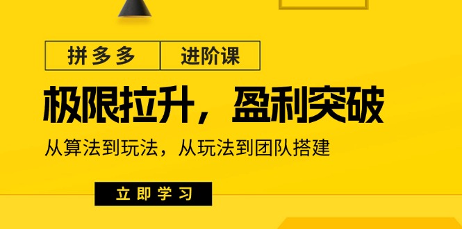 拼多多进阶课：极限拉升/盈利突破：从算法到玩法从玩法到团队搭建（18节）_天恒副业网