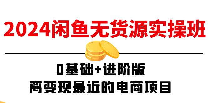 2024闲鱼无货源实操班：0基础+进阶版，离变现最近的电商项目（15节）_天恒副业网