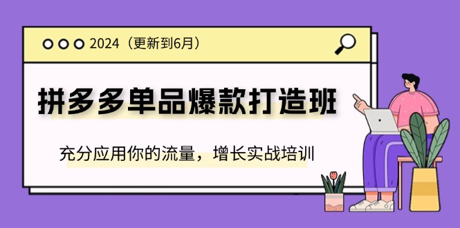 2024拼多多单品爆款打造班，充分应用你的流量，增长实战培训(更新6月)_天恒副业网