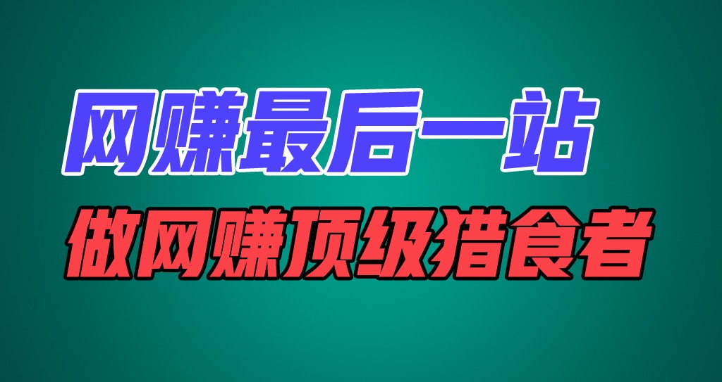 网赚最后一站，卖项目，做网赚顶级猎食者_天恒副业网