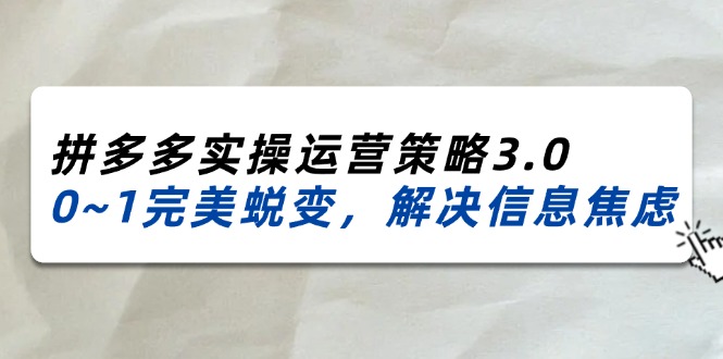 2024-2025拼多多实操运营策略3.0，0~1完美蜕变，解决信息焦虑（38节）_天恒副业网