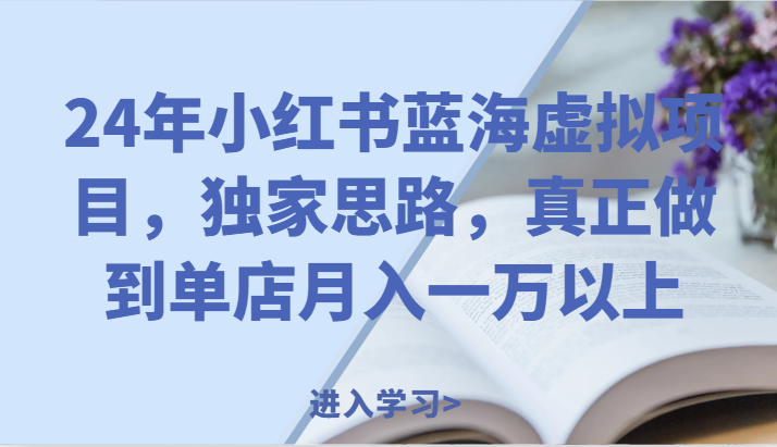 24年小红书蓝海虚拟项目，独家思路，真正做到单店月入一万以上。_天恒副业网