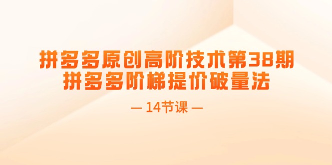 拼多多原创高阶技术第38期，拼多多阶梯提价破量法（14节课）_天恒副业网