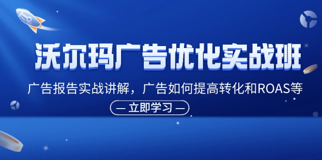 沃尔玛广告优化实战班，广告报告实战讲解，广告如何提高转化和ROAS等_天恒副业网