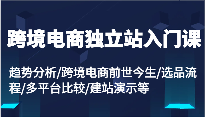 跨境电商独立站入门课：趋势分析/跨境电商前世今生/选品流程/多平台比较/建站演示等_天恒副业网