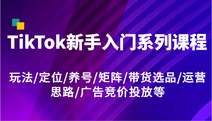 TikTok新手入门系列课程，玩法/定位/养号/矩阵/带货选品/运营思路/广告竞价投放等_天恒副业网