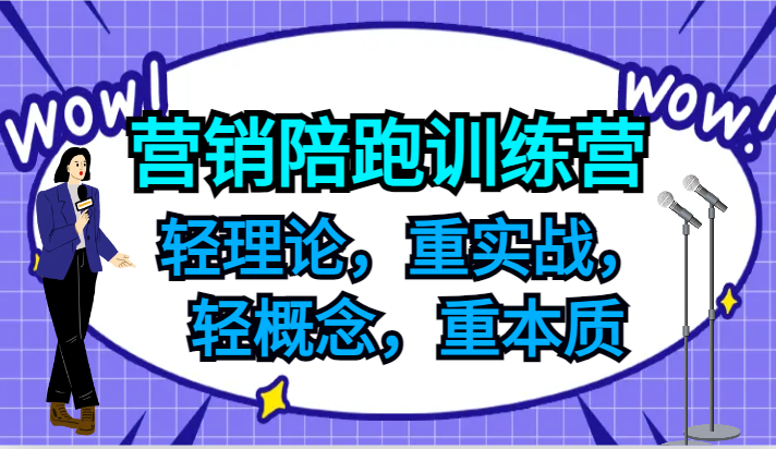 营销陪跑训练营，轻理论，重实战，轻概念，重本质，适合中小企业和初创企业的老板_天恒副业网
