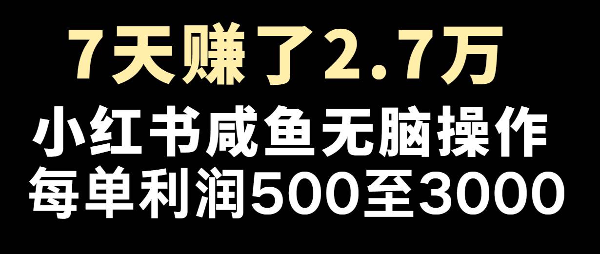 七天赚了2.7万！每单利润最少500+，轻松月入5万+小白有手就行_天恒副业网