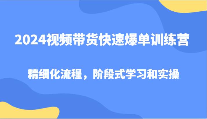 2024视频带货快速爆单训练营，精细化流程，阶段式学习和实操_天恒副业网