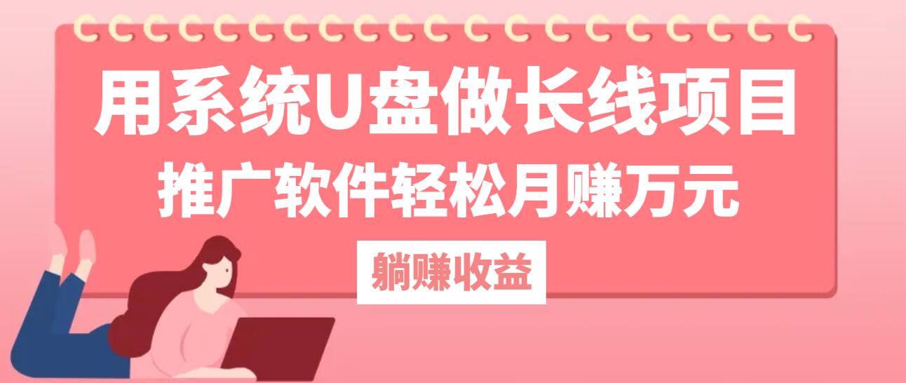 用系统U盘做长线项目，推广软件轻松月赚万元_天恒副业网