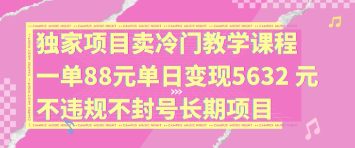 独家项目卖冷门教学课程一单88元单日变现5632元违规不封号长期项目_天恒副业网