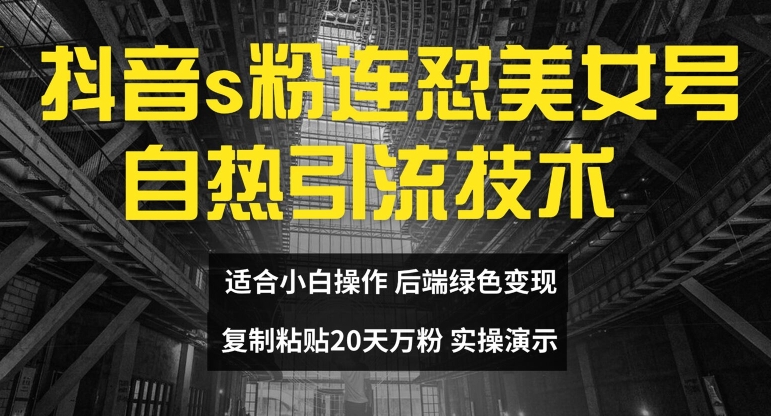 抖音s粉连怼美女号自热引流技术复制粘贴，20天万粉账号，无需实名制，矩阵操作_天恒副业网