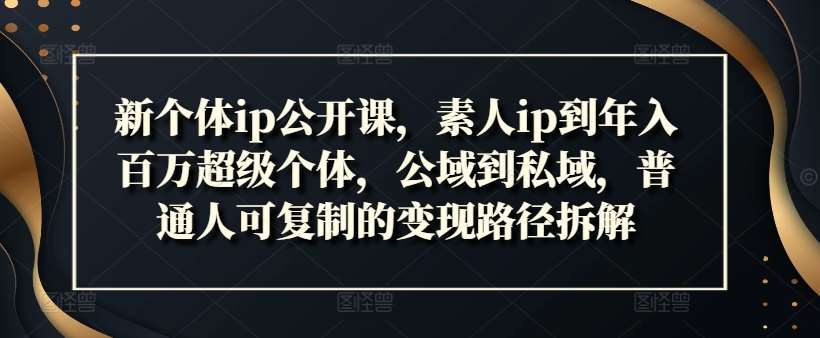 新个体ip公开课，素人ip到年入百万超级个体，公域到私域，普通人可复制的变现路径拆解_天恒副业网