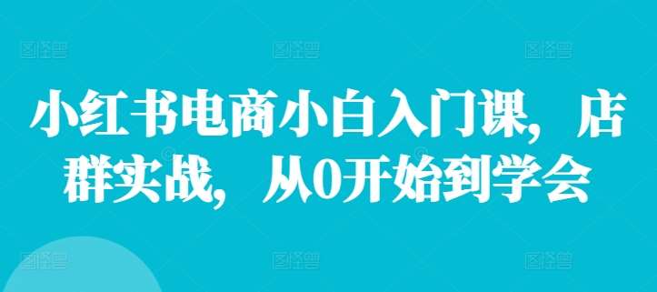 小红书电商小白入门课，店群实战，从0开始到学会_天恒副业网