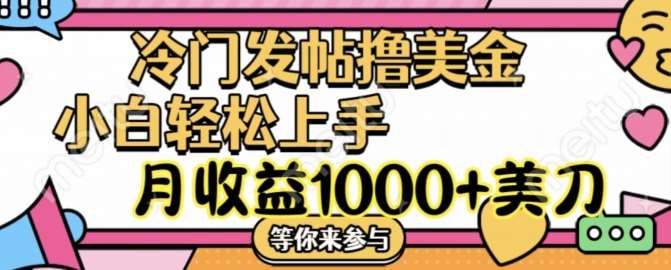 冷门发帖撸美金项目，月收益1000+美金，简单无脑，干就完了【揭秘】_天恒副业网