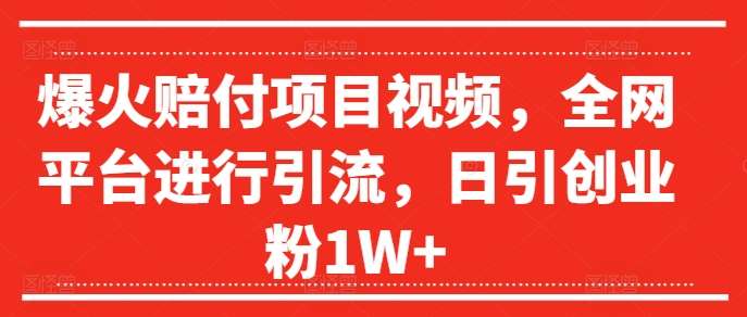 爆火赔付项目视频，全网平台进行引流，日引创业粉1W+【揭秘】_天恒副业网