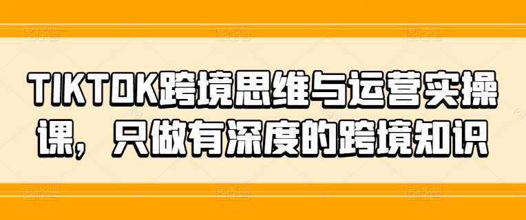 TIKTOK跨境思维与运营实操课，只做有深度的跨境知识_天恒副业网