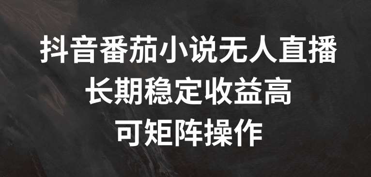 抖音番茄小说无人直播，长期稳定收益高，可矩阵操作【揭秘】_天恒副业网