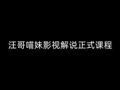 汪哥影视解说正式课程：剪映/PR教学/视解说剪辑5大黄金法则/全流程剪辑7把利器等等_天恒副业网